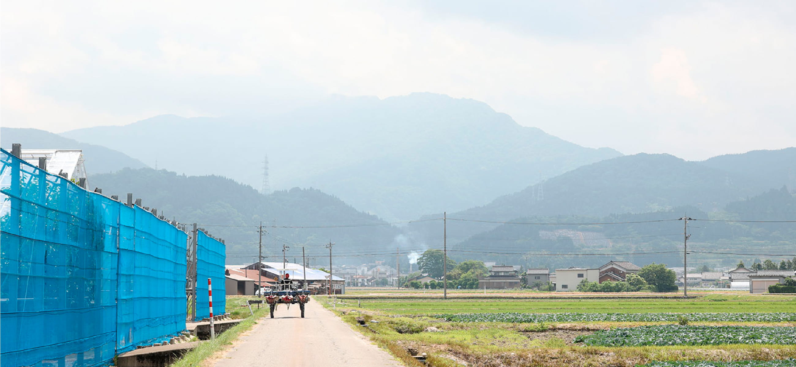 泰栄農研の圃場風景