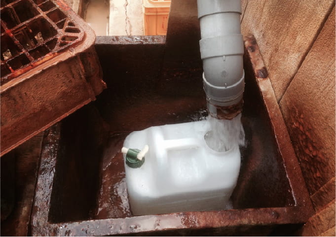 成長に必要なミネラル