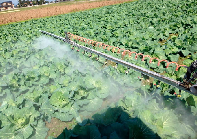 野菜も好き嫌いをする